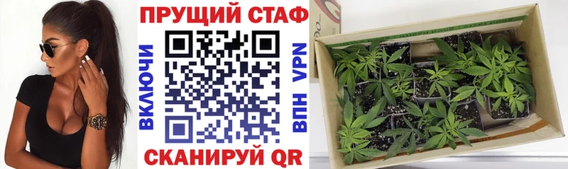 Бутират Дальнегорск