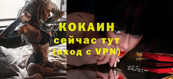 мескалин Богданович