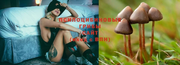 мескалин Богданович